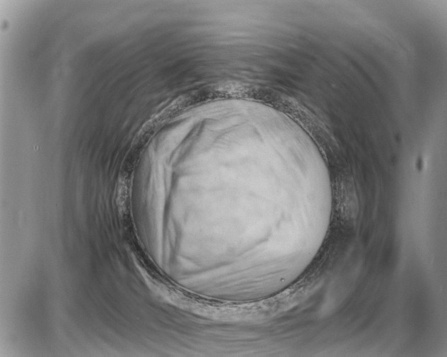 X0000087400036200705042046