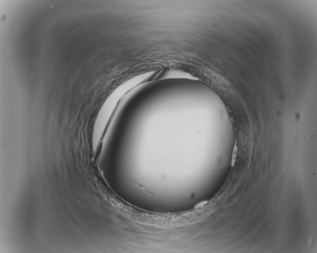 X0000087400037200705042046