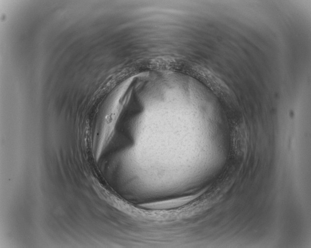 X0000087400038200705042046