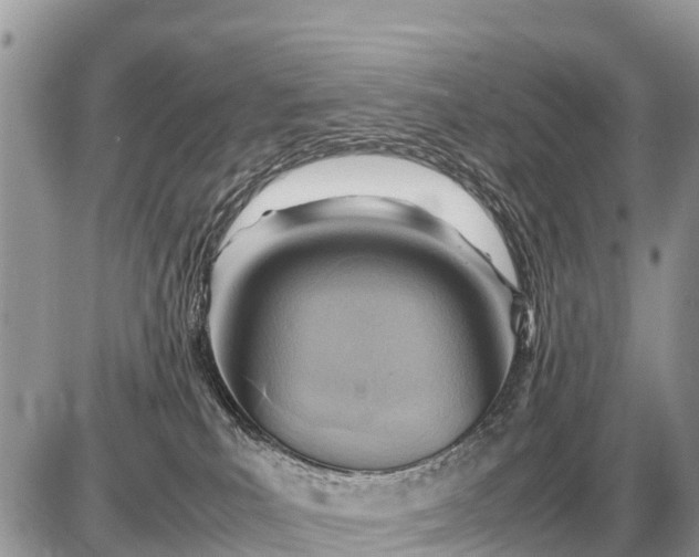 X0000087400039200705042046