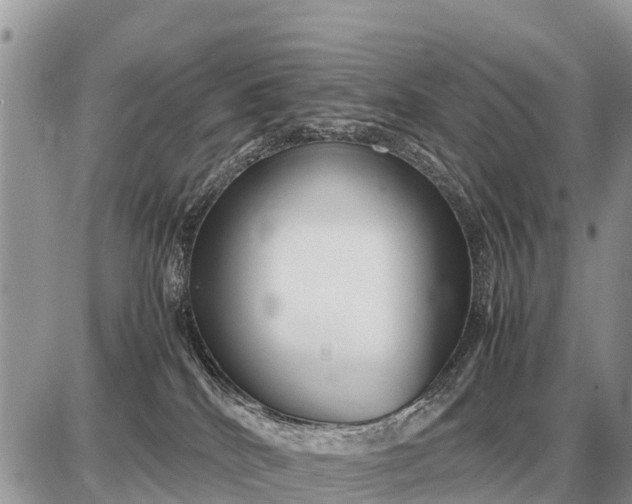 X0000087400040200705042046