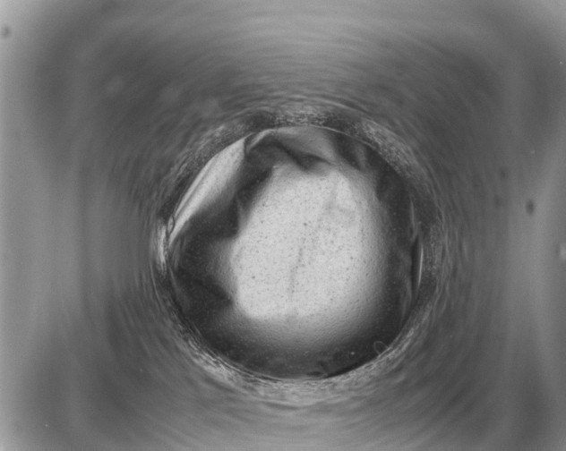 X0000087400041200705042046