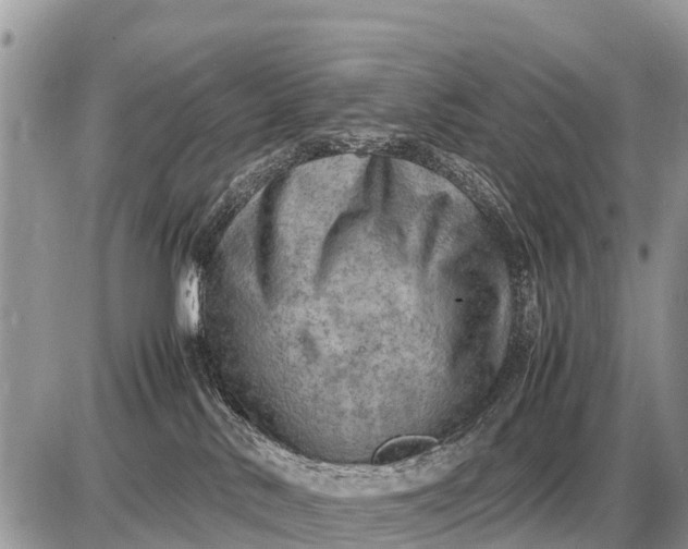 X0000087400042200705042046