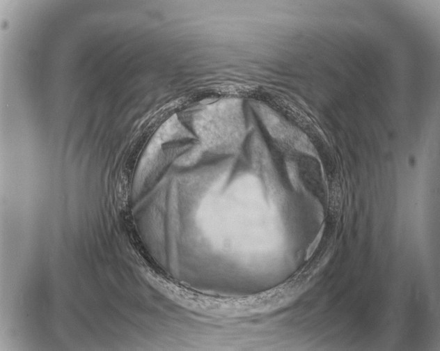 X0000087400043200705042046