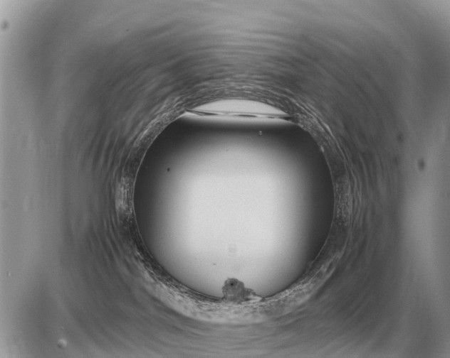 X0000087400044200705042046