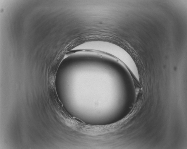 X0000087400045200705042046