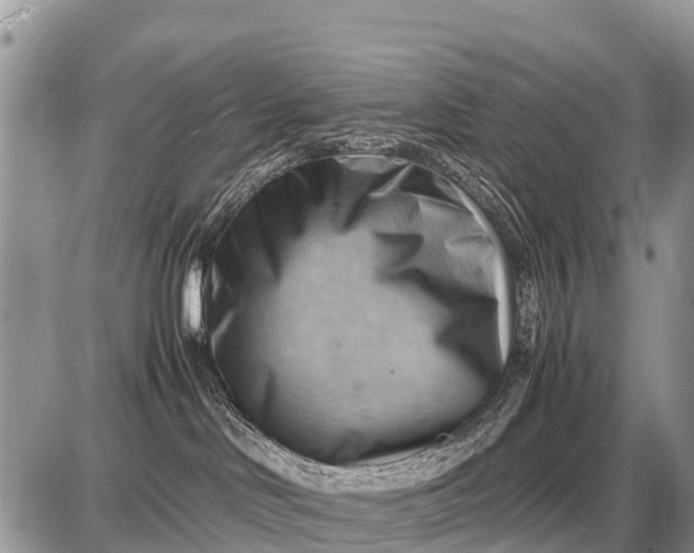 X0000087400046200705042046