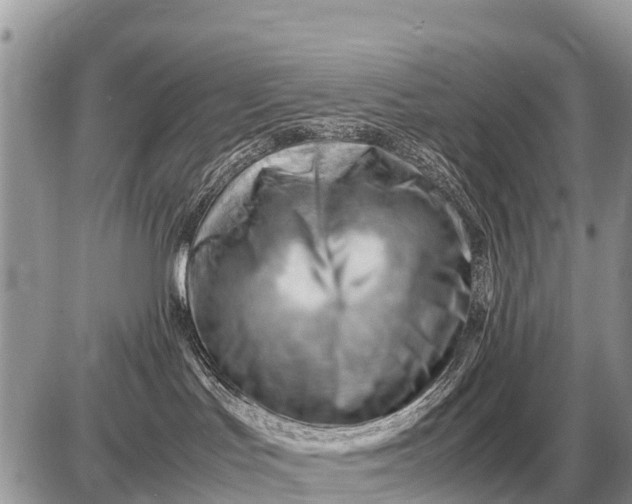 X0000087400047200705042046