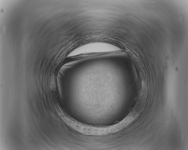 X0000087400048200705042046