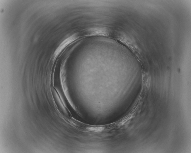 X0000087400051200705042045