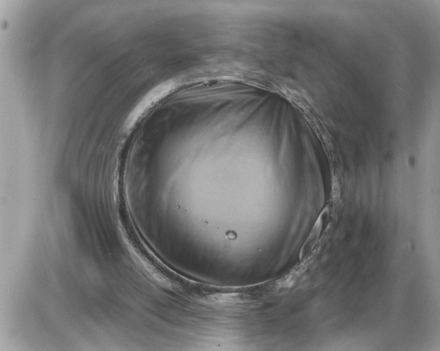 X0000087400054200705042045