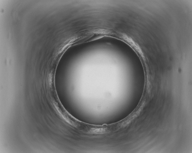 X0000087400057200705042046