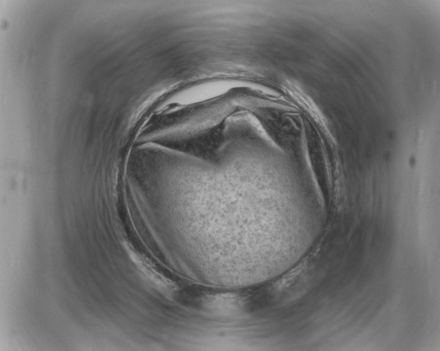 X0000087400058200705042046