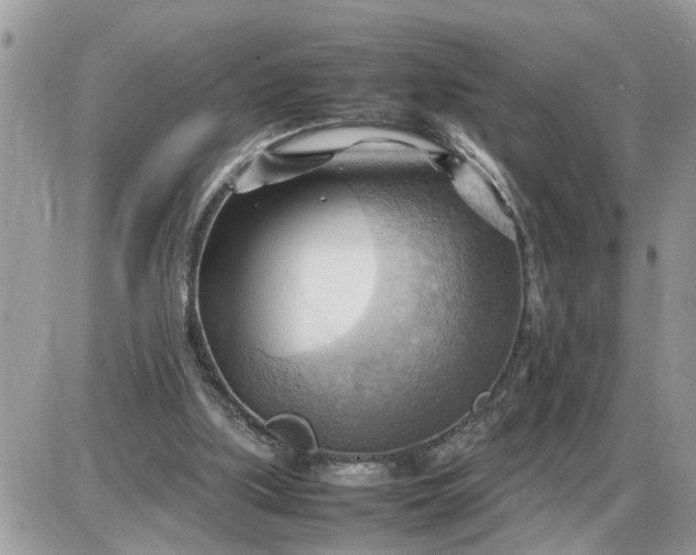 X0000087400059200705042046