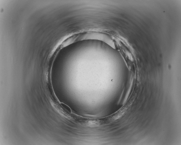 X0000087400060200705042046