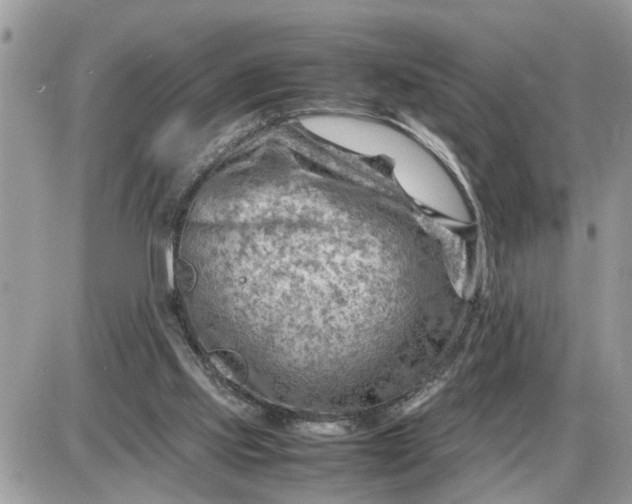 X0000087400061200705042046