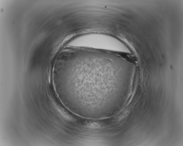 X0000087400062200705042046