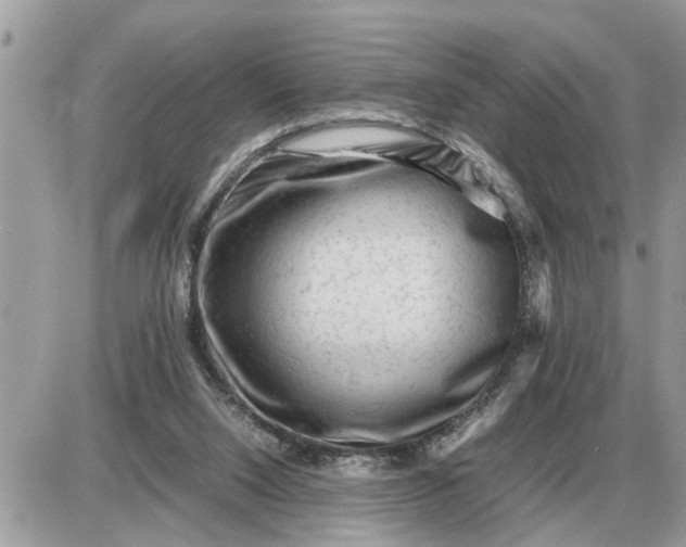 X0000087400064200705042046