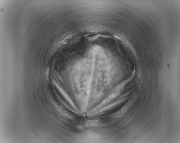 X0000087400066200705042046