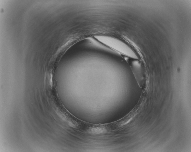 X0000087400067200705042046