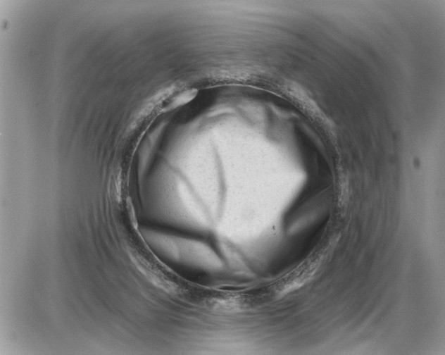 X0000087400068200705042046