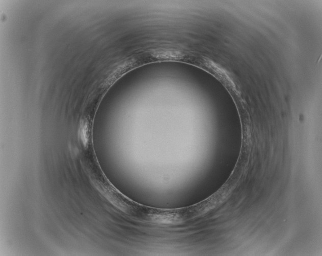 X0000087400069200705042046