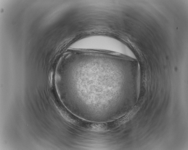 X0000087400070200705042046