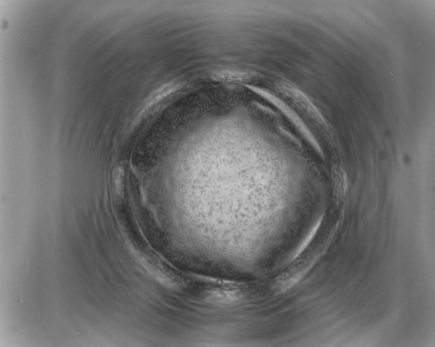 X0000087400071200705042046