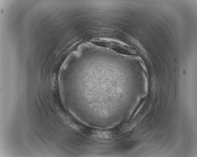 X0000087400073200705042046