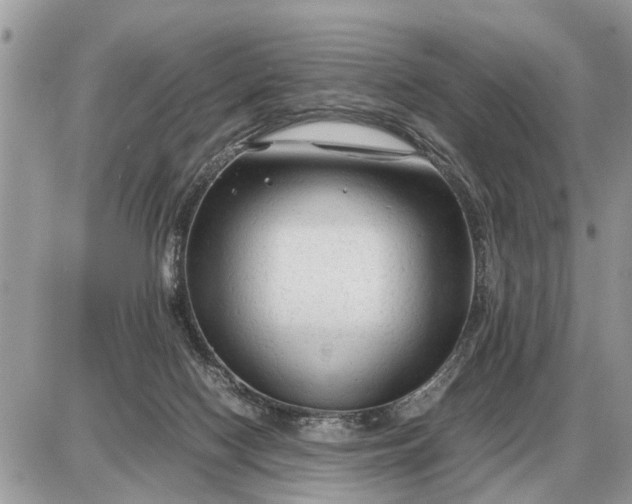 X0000087400074200705042046