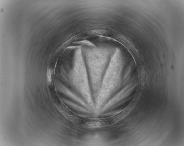 X0000087400075200705042046