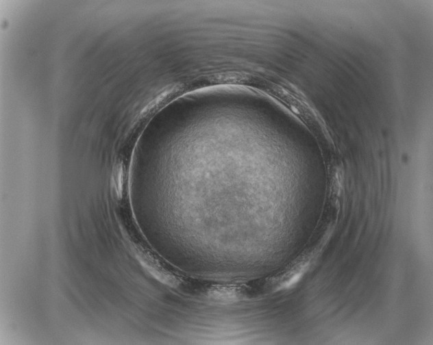 X0000087400076200705042046