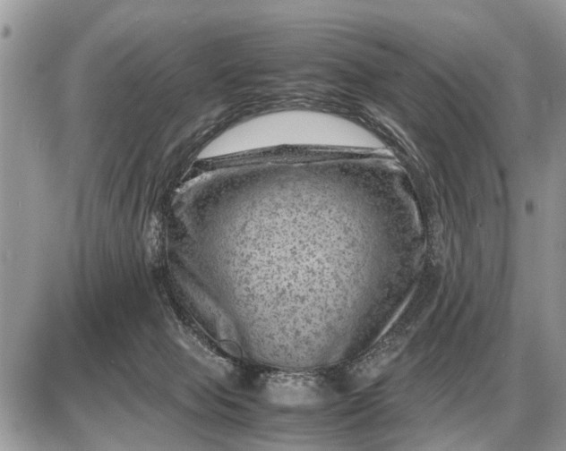 X0000087400077200705042046