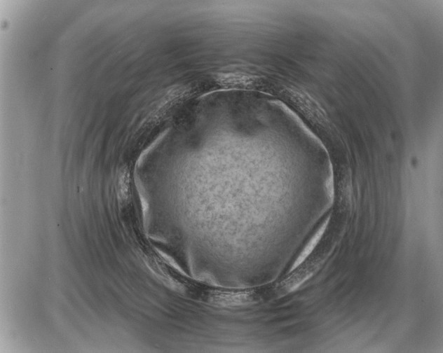 X0000087400081200705042046