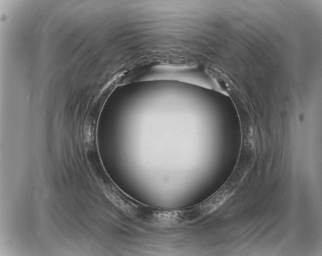 X0000087400084200705042046