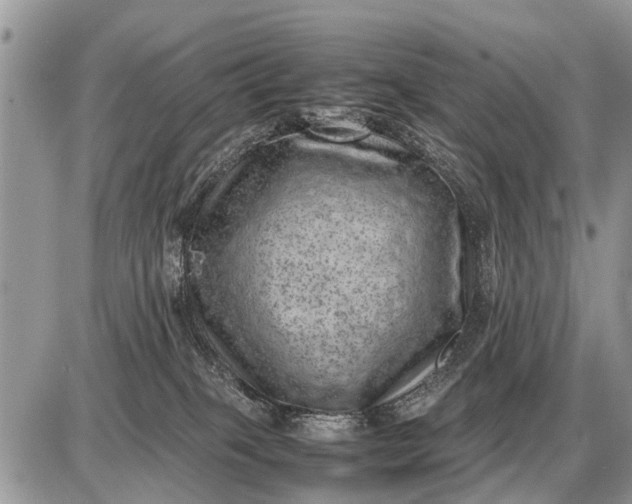 X0000087400085200705042046