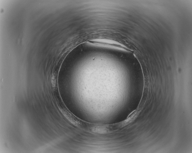 X0000087400086200705042046