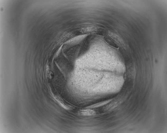 X0000087400087200705042046