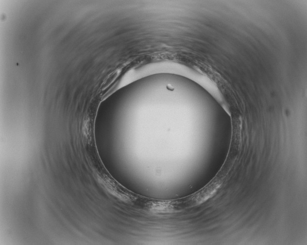 X0000087400088200705042046