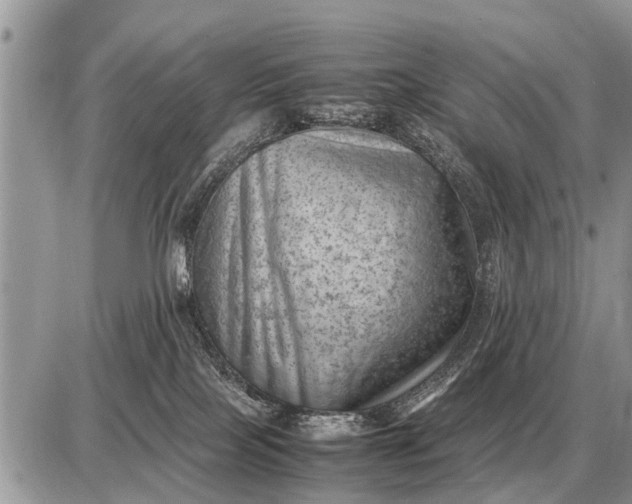 X0000087400089200705042046