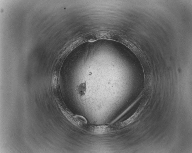 X0000087400090200705042046