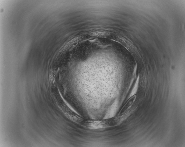 X0000087400091200705042046