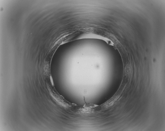 X0000087400092200705042046