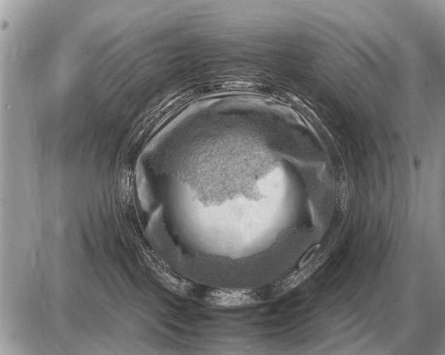 X0000087400093200705042046