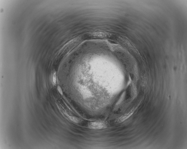 X0000087400095200705042046