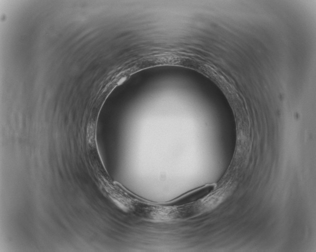 X0000087400096200705042046