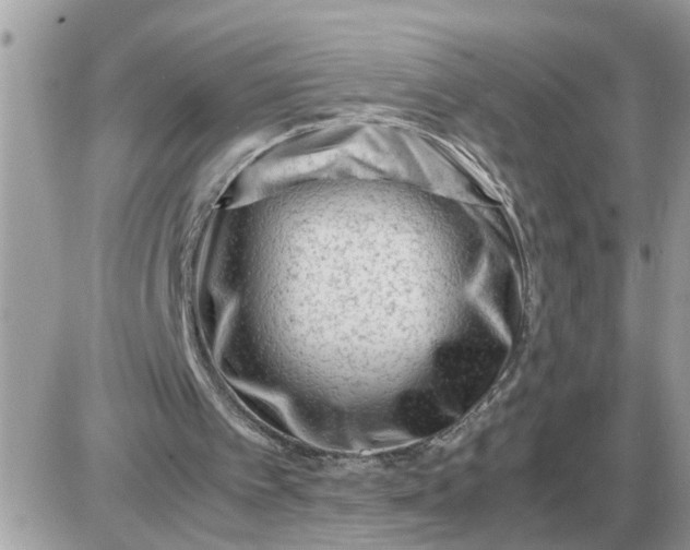 X0000087400097200705042045