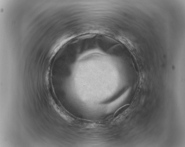 X0000087400098200705042045