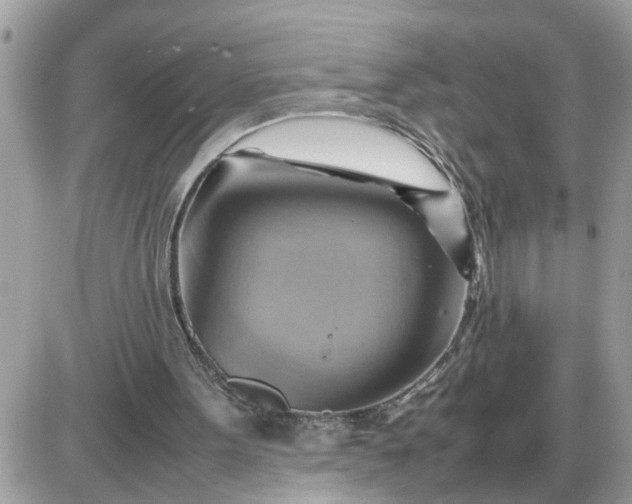 X0000087400099200705042045