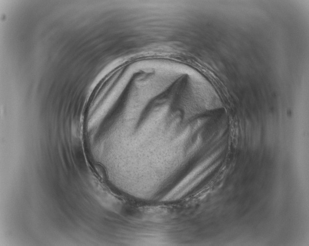 X0000087400100200705042045